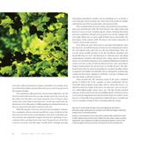  America's Great Forest Trails_Tim Palmer_9780847867578_Rizzoli International Publications 