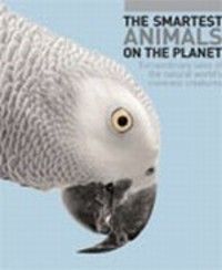  Smartest Animal on the Planet_Sally Boysen_9789812751096_Bloomsbury Publishing PLC 