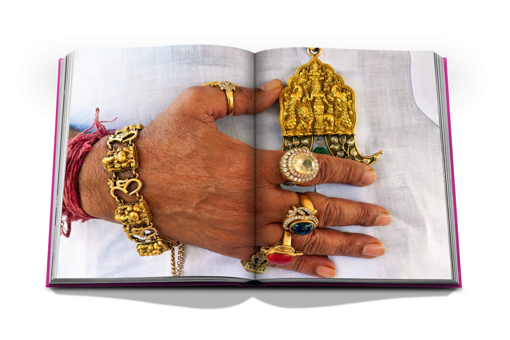  Jaipur Splendor_Mozez Singh_9781649800688_ASSOULINE 
