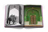  Jaipur Splendor_Mozez Singh_9781649800688_ASSOULINE 