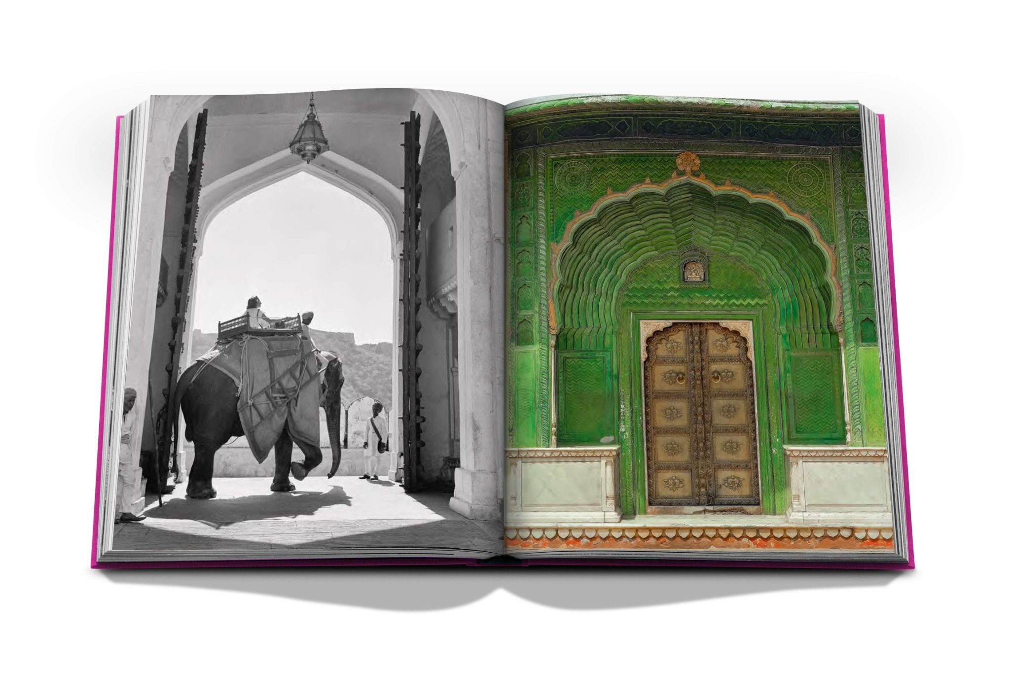  Jaipur Splendor_Mozez Singh_9781649800688_ASSOULINE 