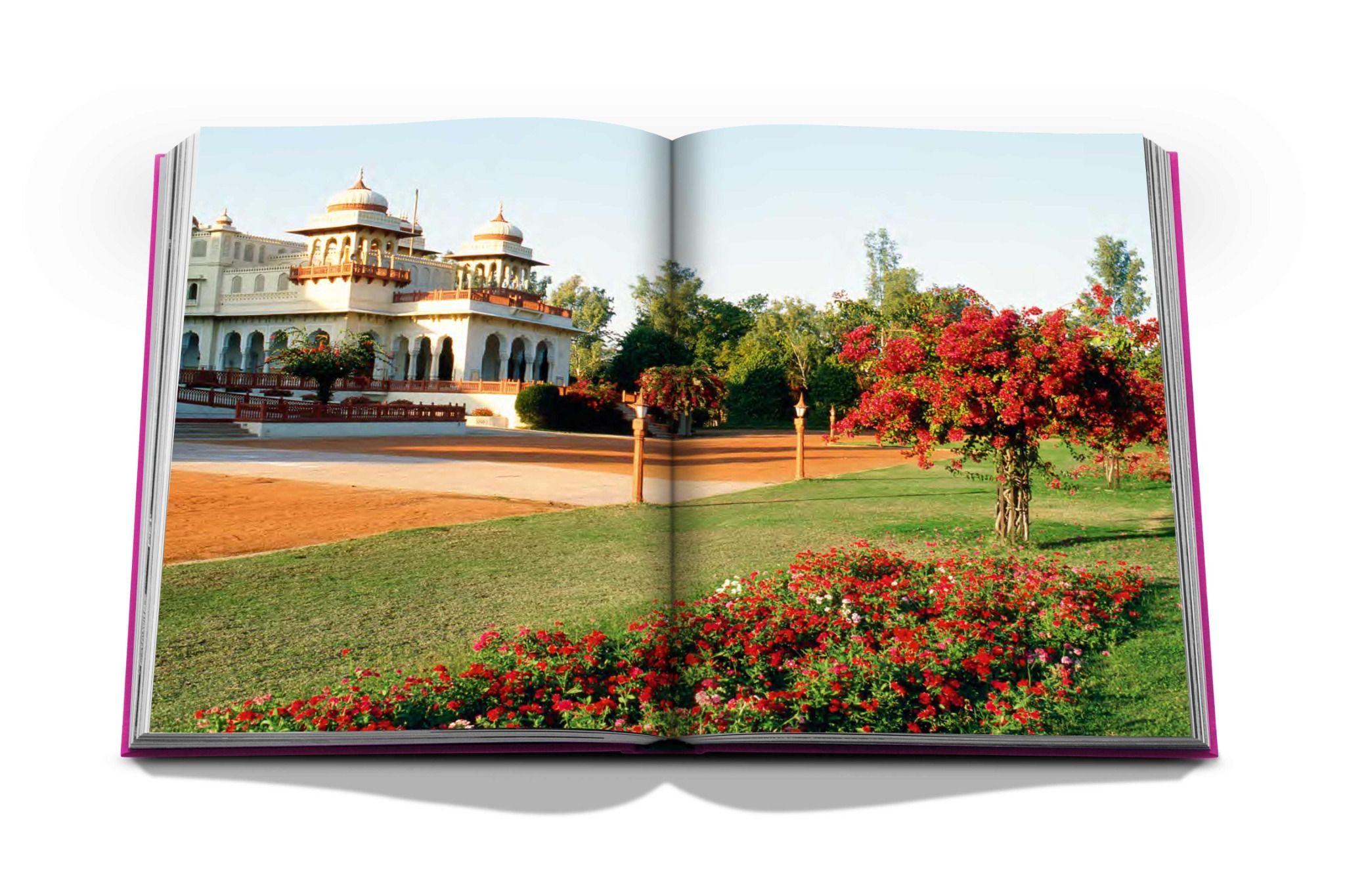  Jaipur Splendor_Mozez Singh_9781649800688_ASSOULINE 