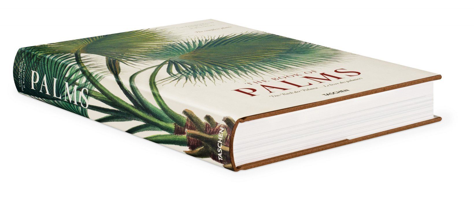  Martius: The Book Of Palms  _H. Walter Lack_9783836566148_Taschen 