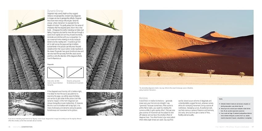  Mastering Composition: The Definitive Guide for Photographers 