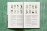  Leonhart Fuchs. The New Herbal_Werner Dressendoerfer_9783836587662_TASCHEN 