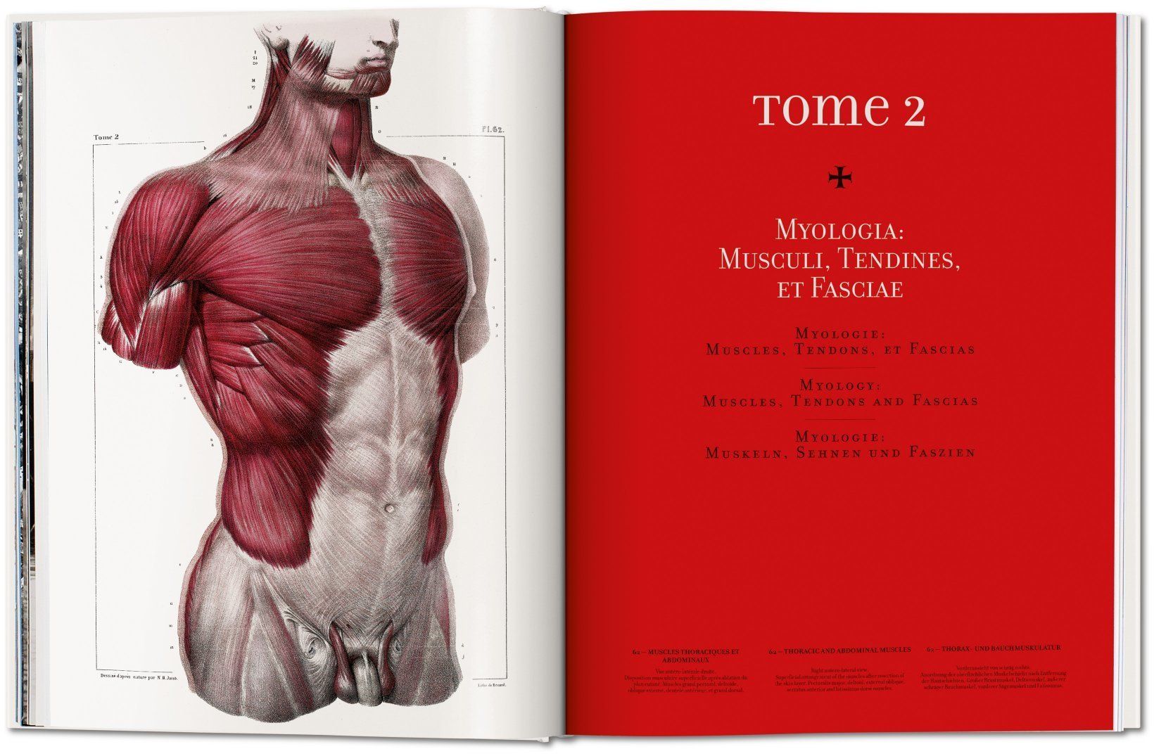  Atlas of Human Anatomy and Surgery_Jean-marie Le Minor & Henri Sick_9783836568982_Taschen GmbH 