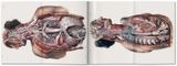  Atlas of Human Anatomy and Surgery_Jean-marie Le Minor & Henri Sick_9783836568982_Taschen GmbH 