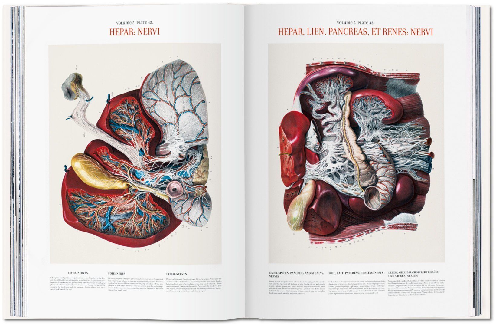  Atlas of Human Anatomy and Surgery_Jean-marie Le Minor & Henri Sick_9783836568982_Taschen GmbH 