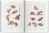  Atlas of Human Anatomy and Surgery_Jean-marie Le Minor & Henri Sick_9783836568982_Taschen GmbH 