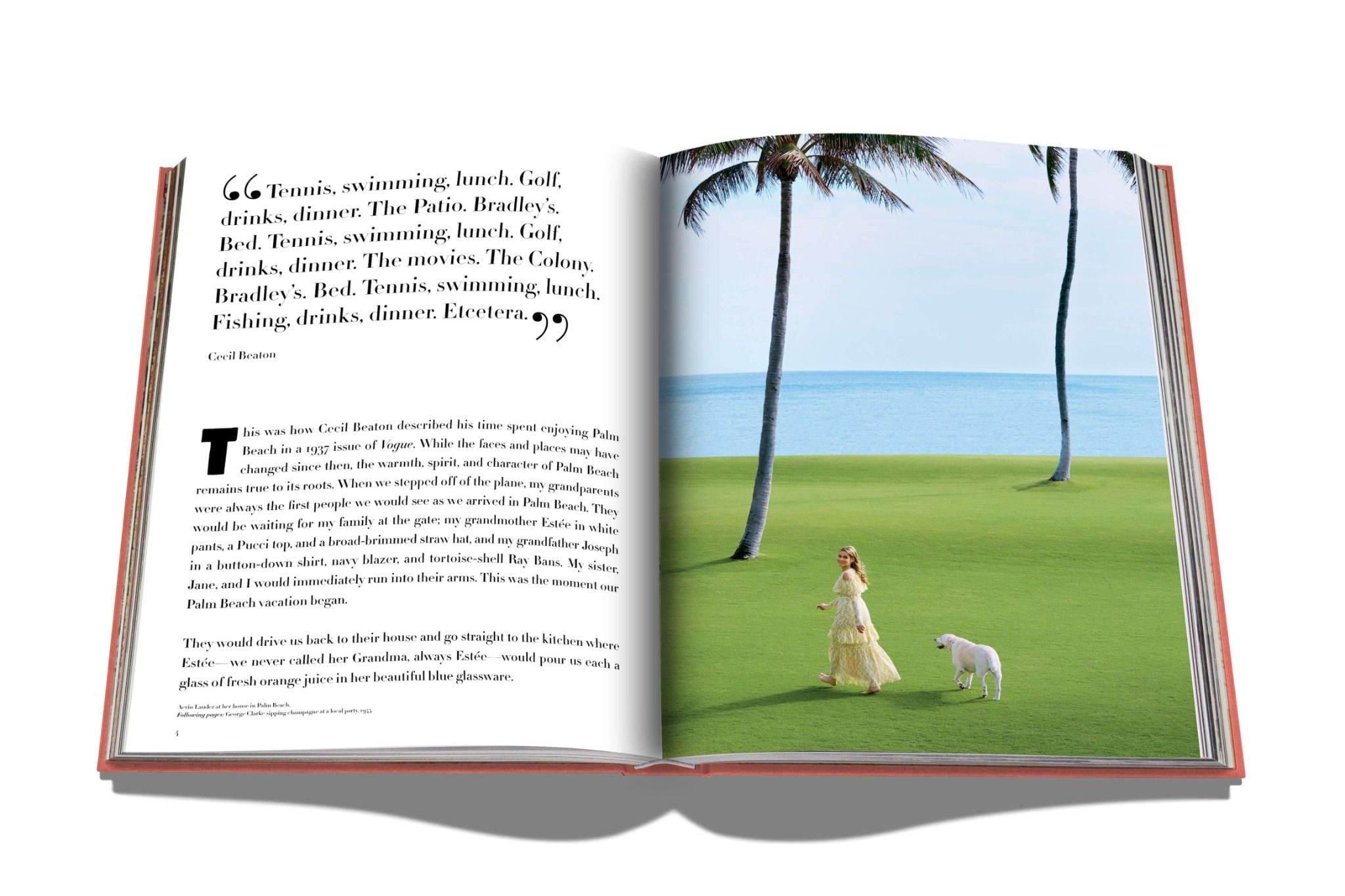  Palm Beach_Aerin Lauder_9781614288626_Assouline 