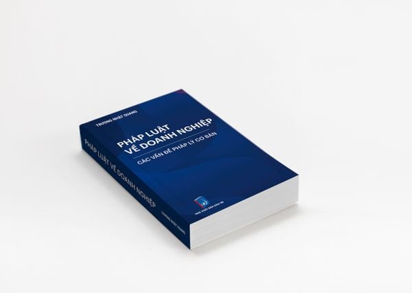Pháp luật về doanh nghiệp các vấn đề pháp lý cơ bản