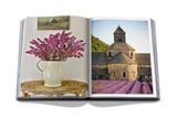  Provence Glory_Francois Simon_9781614289821_Assouline Publishing Inc 