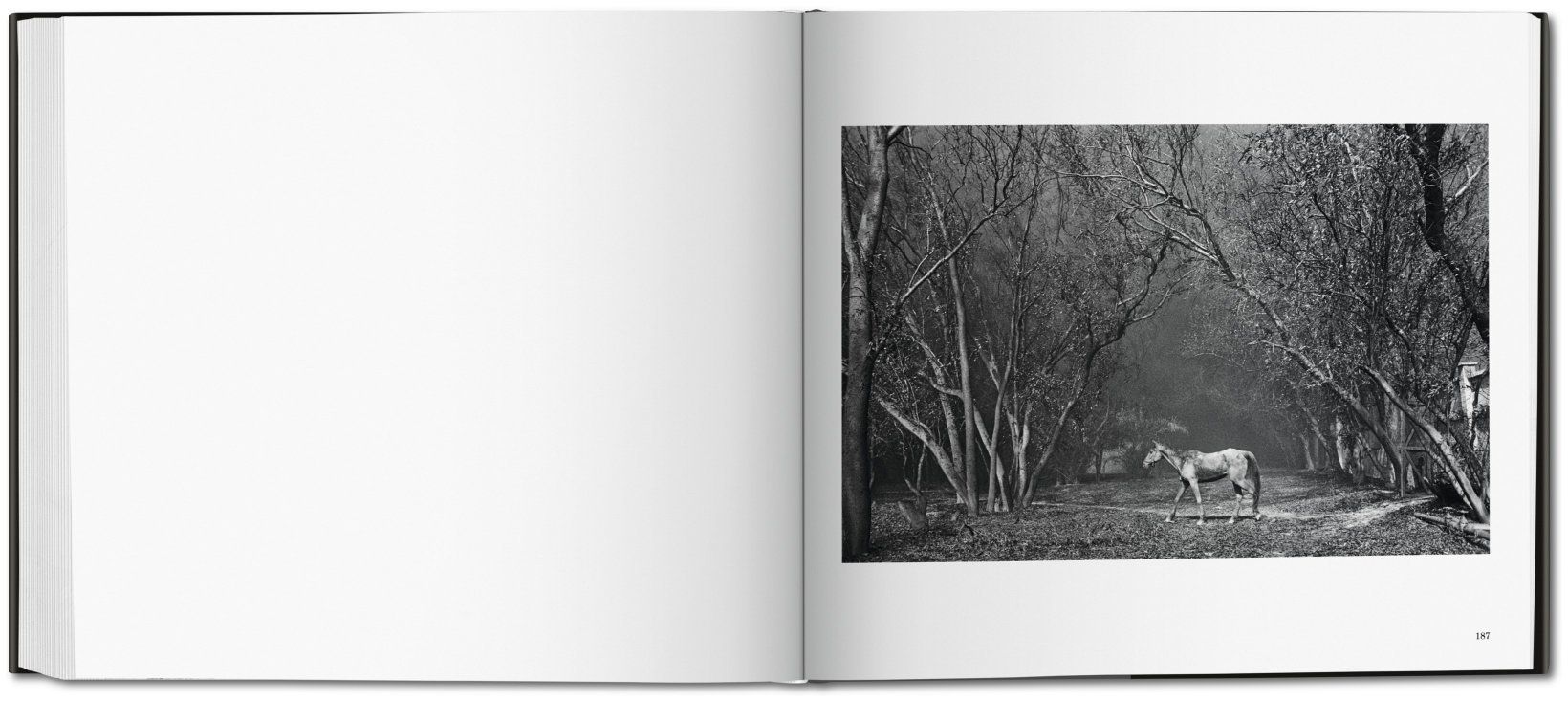  Sebastiao Salgado. Kuwait_Sebastião Salgado_9783836561259_Taschen GmbH 