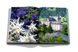  Gstaad Glam_Geoffrey Moore_9781649800435_Assouline 