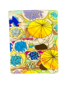 Lenticular Magnet 3D - Life in Vietnam 09