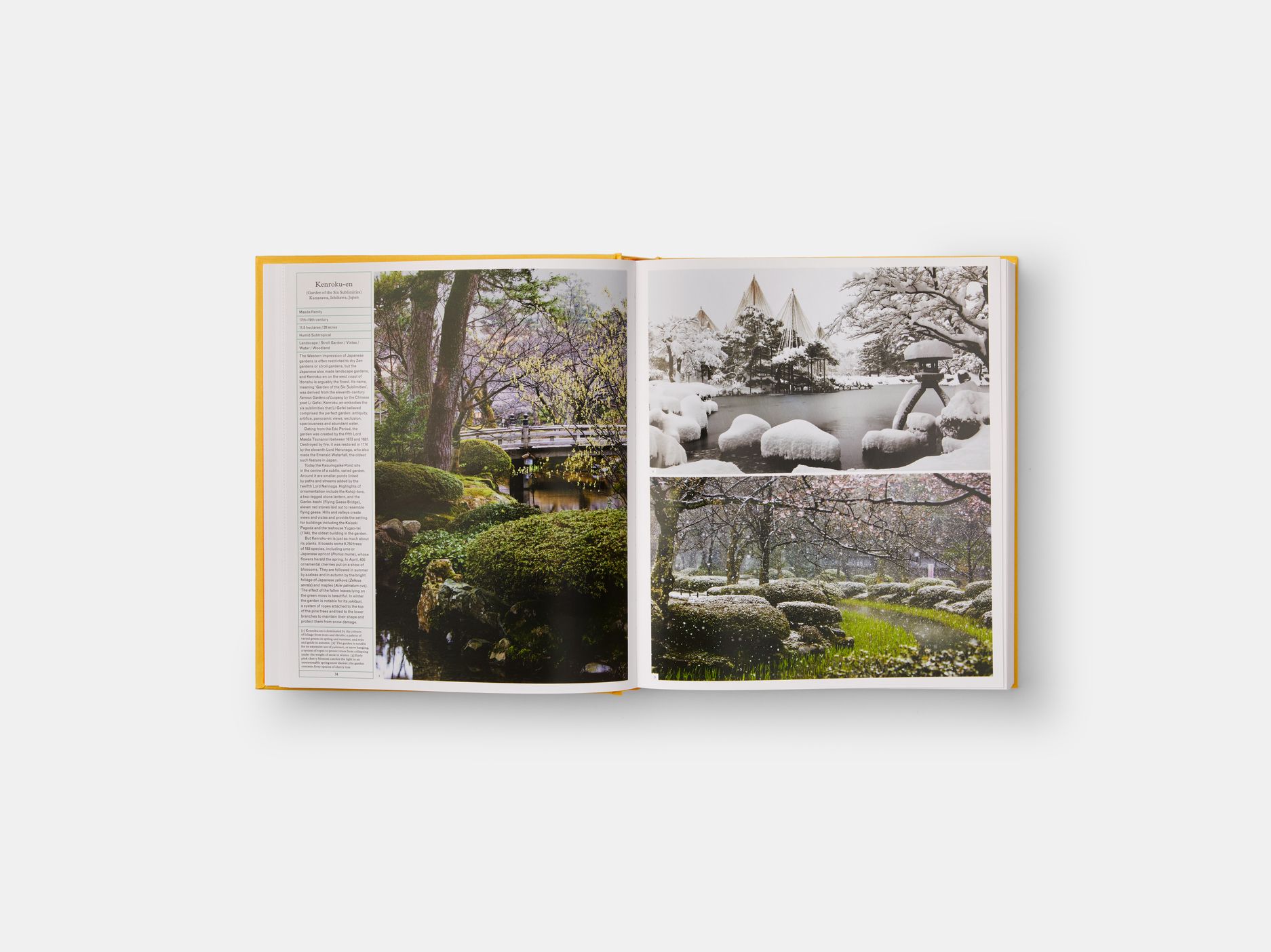  The Gardener's Garden : Classic format_ Madison Cox_9781838660260_Phaidon Press Ltd 