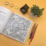  Wonderful Vietnam Coloring Book 