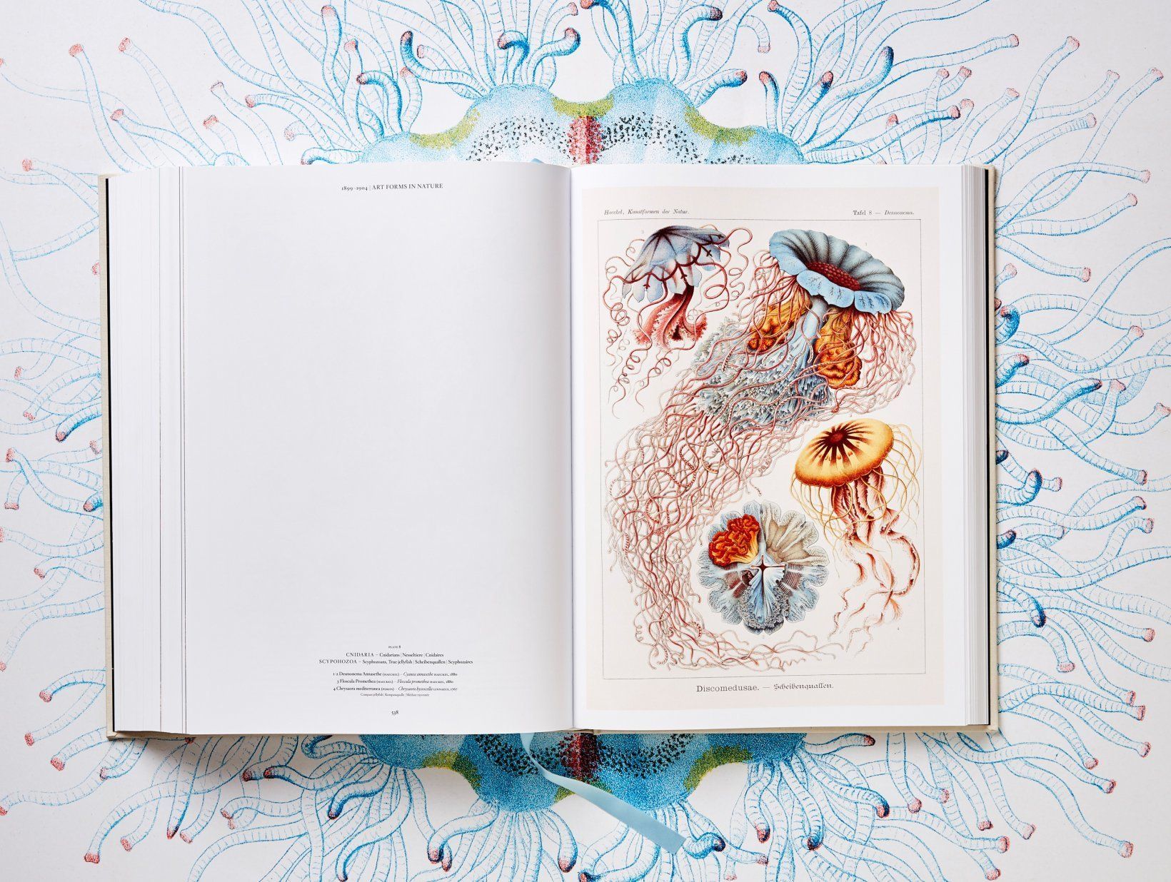  The Art and Science of Ernst Haeckel_9783836526463_Taschen 