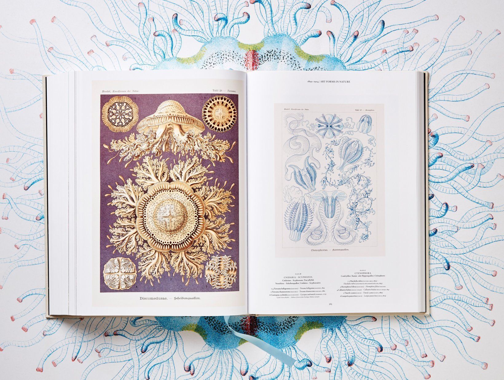  The Art and Science of Ernst Haeckel_9783836526463_Taschen 