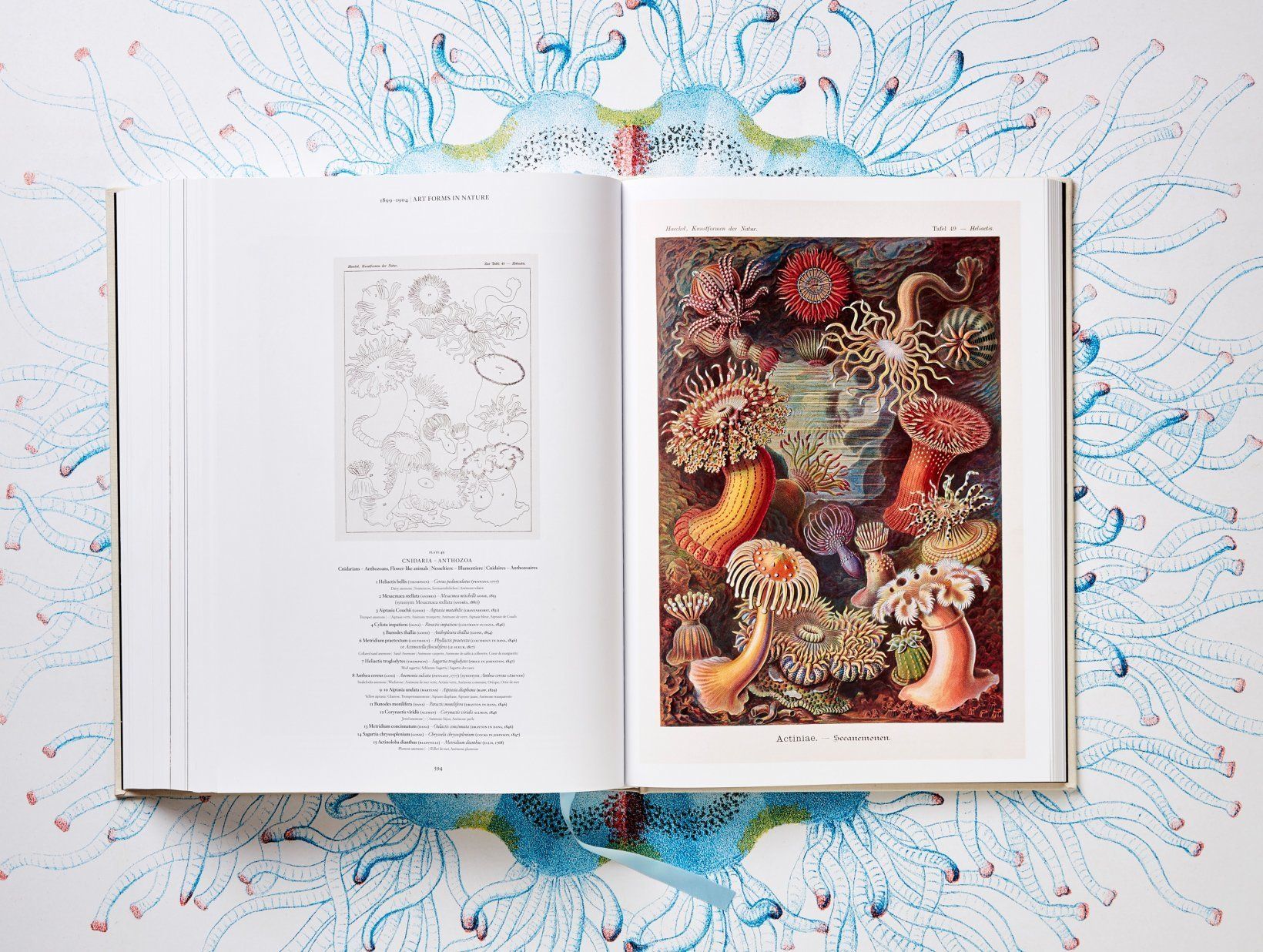  The Art and Science of Ernst Haeckel_9783836526463_Taschen 