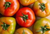  Cà chua beef hữu cơ - 500g 