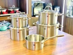 Bộ nồi ZWILLING Essence 5 món vung kính