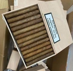 Cigar Meine 60er Sumatra