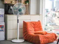 Quạt cây Rowenta VU5890 hàng mới nhất