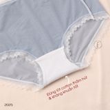  Combo Panties Q2025 