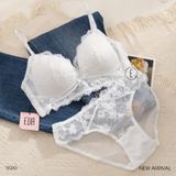  Set mỏng S085 