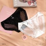  Panties Q571 