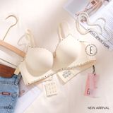  Áo nâng viền chữ A8533 