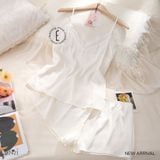  Bộ 2 dây B2421 