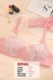  Non Padding Bra Set S137 