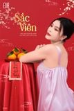  Váy ngực ren hoa D169 