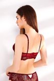  Charm Non Padding Bra Set S21517 