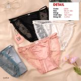  Hipster Panties Q454 