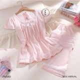  Pzm QDTN hồng PM3492 