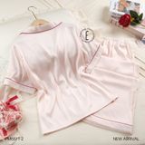  Pzm QDTN PM6511-2 