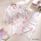  Pzm QDTN nơ hồng PM6816 