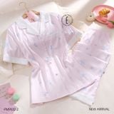  Pzm QDTN PM9532-2 