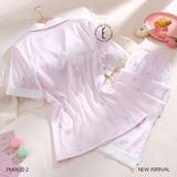  Pzm QDTN PM9532-2 