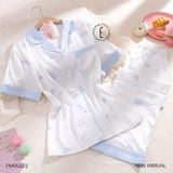  Pzm QDTN PM9532-2 