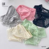  Hipster Panties Q533 