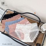  Mesh Panties Q534 