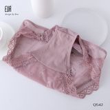  Hipster Panties Q542 