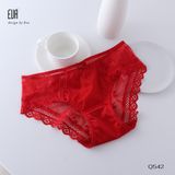  Hipster Panties Q542 