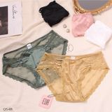  Hipster Panties Q548 