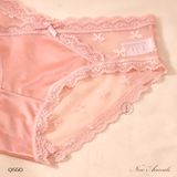  Hipster Panties Q550 