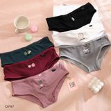  Hipster Panties Q767 